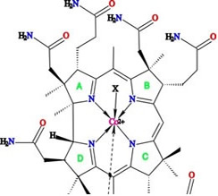 B-12 Base to Improve Results