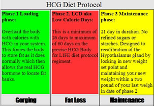 what are the protocols hcg diet